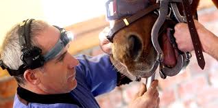 Chris Warren's interview with Nadia Aslam from equilifeworld.com