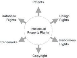 Copyright, patents, trademarks and industrial designs are the most common types of intellectual property rights. Intellectual Property Rights