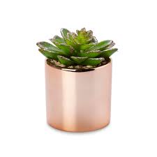 Elegant artificial waterlook® champagne rose buds in rectangular vase. 4 Astonishing Diy Ideas Artificial Garden Google Artificial Garden Ideas Green Walls Artificial Plants Decor Artificial Plants Outdoor Small Artificial Plants
