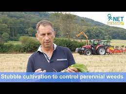These roots make them harder to get rid of than annual weeds. Stubble Cultivation To Control Perennial Weeds In Organic Agriculture Nov 2016 Youtube
