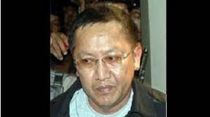 Adelin terjerat kasus pembalakan liar dan tertangkap di singapura pada 14 maret 2021 karena pemalsuan paspor. 2tnuquh9baqbjm