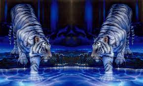 Explore Screensavers Twin Tigers Screen Savers Beautiful Fantasy Art Moving Screensavers