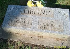 USGenWeb Ohio Tombstone Photo Project Hardin Co.