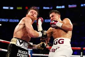 Fairtex muay thai bag gloves. Report Gennady Golovkin Expected To Sign With Dazn Bloody Elbow