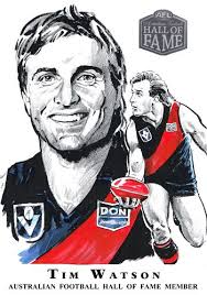Hall Of Fame Col Bodie Sports Art Essendon Football Club Australian Football Football Club