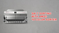 Color Sorter Machine for #Salt | AMD Y8 #SaltColourSorter Demo
