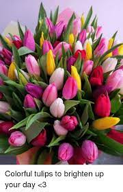 Flowers to brighten your day meme. Colorful Tulips To Brighten Up Your Day 3 Meme On Me Me
