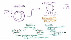 Image result for Acute Leukemia