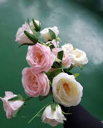 By using some of these 150 popular proverbs, you can up your english language as an aspiring english writer whose mother language is not english, the definitions of every idiom are very hard to understand and really really helped me a lot! English Rose Pink Kecil Rental Your Diy Project Supplies