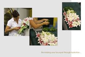 We source the best quality, ethically grown flowers from australian farmers and transform them into stunning contemporary arrangements. What Is Freeze Drying