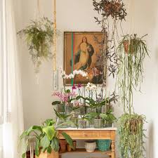 • si están en el exterior, con el mismo rocío tienen suficiente para vivir. Cinco Ideas Faciles De Copiar Para Decorar Con Plantas Architectural Digest Espana