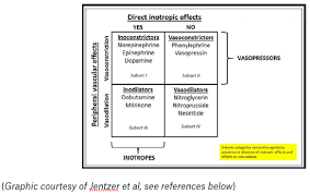 Image result for Vasopressor