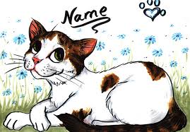 Cats N Dogs Cartoons