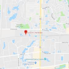 Bring your whiskered companions along on some of your naperville adventures, or head out to enjoy the restaurants while they nap. A D O P T Pet Shelter