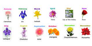 Find each month flowers descriptions and find your recipient's birth month order suitable flower now! From January To December Discover Your Birth Month Flower