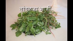 Those links will provide you the list of recipes made using that vegetable. à¤¤ à¤¦ à¤³à¤œ à¤­ à¤œ Tandulja Bhaji à¤šà¤µà¤³ à¤š à¤­ à¤œ à¤š à¤² à¤¯ à¤• à¤¸à¤¬ à¤œ Youtube