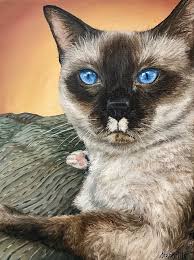 We did not find results for: Siamese Cat Painting By Steph Moraca