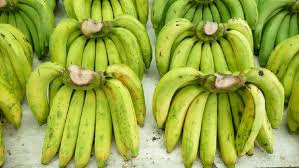 Di malaysia pisang ini disebut sebagai pisang berangan. 5 Jenis Pisang Yang Baik Untuk Diet Dan Manfaatnya