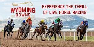 Live Horse Racing at Wyoming Downs