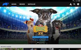 Animal Planet Go Stream Live Tv Apps On Google Play