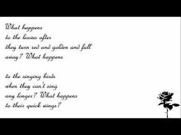 Mary Oliver Roses Late Summer Mary Oliver Mary Oliver Poems Words Of Wisdom