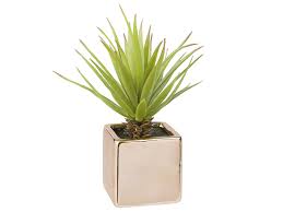 متجر أثاث جديد في مول الإمارات يوفر أجمل التصميمات المنزلية بأسعار تنافسية