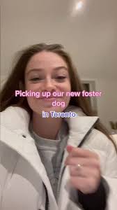 Picking up our new foster dog 🥰🐕 #fyp #foryoupage #fosterdog #dog