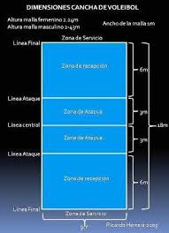 Resultado De Imagen Para Medidas Campo Voley Voley Canchas Deportes