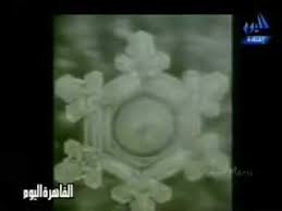 تأثير القرآن الكريم على الماء Flv Youtube