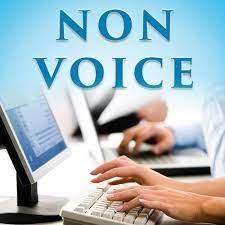 Maybe you would like to learn more about one of these? Non Voice Process Authentic Non Voice Process With Secure Payouts Service Provider From Pune