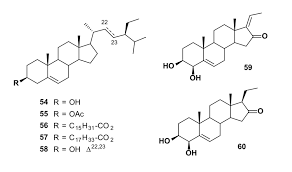 Image result for Ekebergia benguelensis