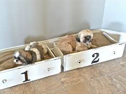 We'll share 16 of the best diy dog bed plans we could find below! 19 Adorable Diy Dog Beds How To Make A Cute Cheap Pet Bed
