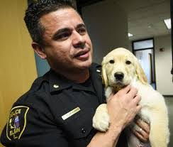 Eric Echevarria's Instagram, Twitter & Facebook