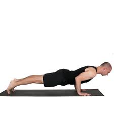 Day Three Chaturanga Dandasana Four Limbed Staff Pose Low Plank Need To Develop Some Upper Body Strength Th Upper Body Strength Yoga Chaturanga Dandasana