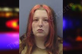 Emily Cheek — Chattooga County Jail Bookings