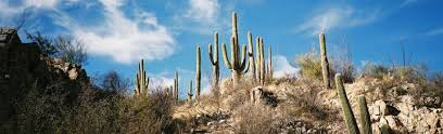 Prints are sold without frame. Best Beginner Mountain Bike Trails In Tucson Tucson Bike Rentals