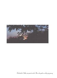 Image result for Chascanum adenostachyum