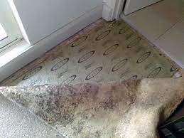 Maybe you would like to learn more about one of these? How Long Does It Take For Mold To Grow In Wet Carpet Tidal Wave Response
