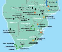 Image result for Sericanthe chimanimaniensis