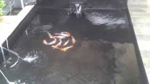 Jasa Pembuatan Kolam Ikan Di Cikarang Fumida Garden