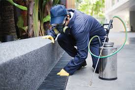 Our pest control program is specifically designed for the pests we experience in eaton rapids. Professional Pest Control Services In Sri Lanka Glory Pest Solutions
