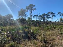The koreshan unity settlement historic district is on the national register of historic places. Estero Bay Preserve State Park 17981 Winkler Rd Fort Myers Fl Hiking Backpacking Mountaineerings Service Mapquest