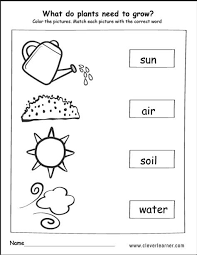 How Do Plants Grow Worksheets For Kindergarten Post Date 29 Dec 2018 Preschool Science Activities Plants Kindergarten Kindergarten Science Activities