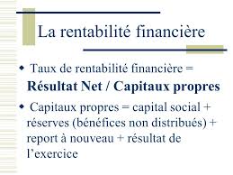 Rentabilite Et Effet De Levier Ppt Video Online Telecharger