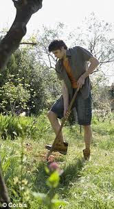 All our staff are fully trained, conversant in all aspects of health and safety and are uniformed. The Cowboy Gardeners Who Are Ripping Off Householders Daily Mail Online