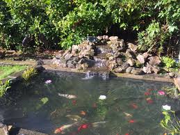 Pond View 1