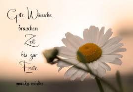 Denn auch sie würden sich freuen, von. Geburtstagsgluckwunsche Geschaftspartner Raitheobedcont