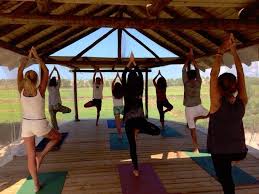 Maybe you would like to learn more about one of these? Yoga Shala Comporta Serenity Wellness Amidst Nature Portugal