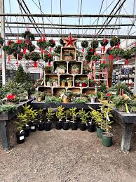 Happenings in and Around Springfield Vermont