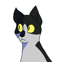 All free to use for any warrior cat project. Cat Gif By Owlcoholik Fur Affinity Dot Net